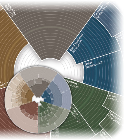 Spiral of growth: biodiesel in Brazil